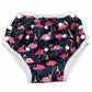 Baby AIO Training Pants