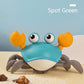 Bath Time Crab