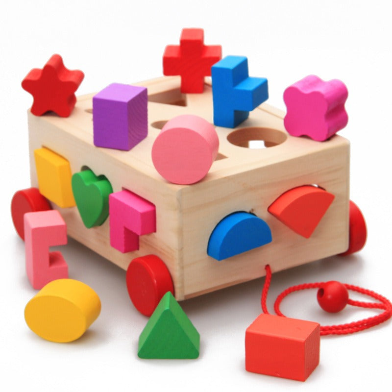 Shape Sorter Pull Toy