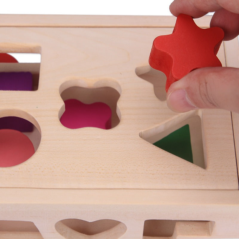 Shape Sorter Pull Toy