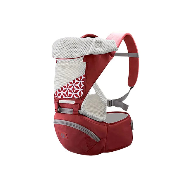 Ergonomic Baby Carrier for 0-24 Months